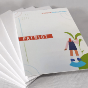 Пластик PATRIOT 3050*2050*3 мм, белый (Россия). - Гельветика-Урал